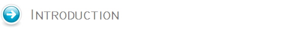 Introduction